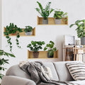 3pcs Plant Wall Sticker Set Home Decor