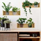 3pcs Plant Wall Sticker Set Home Decor